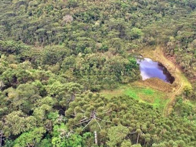 Fazenda para venda em Centro, Piranguçu