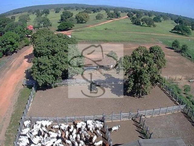 Fazenda para venda em Centro, Pirapora