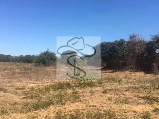 Fazenda para venda em Centro, Pirapora