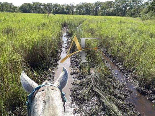 Fazenda para venda em Centro, Poconé