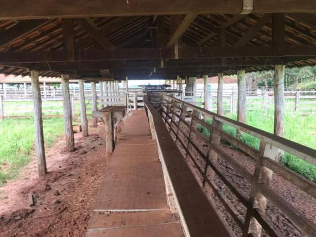 Fazenda para venda em Centro, Pontes Gestal