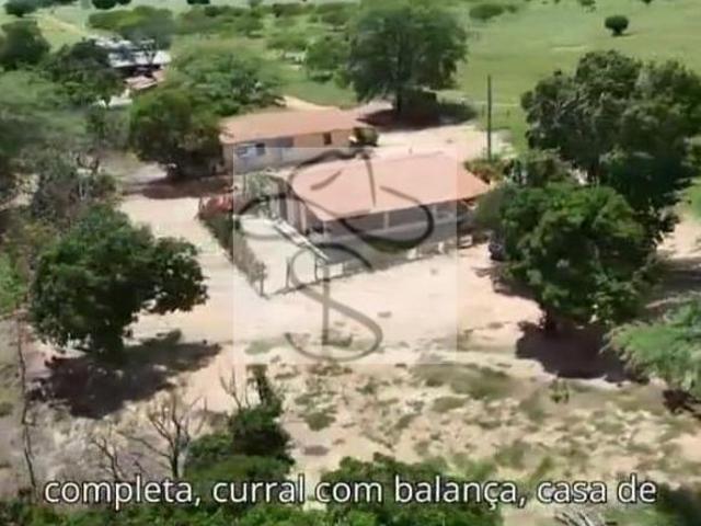Fazenda para venda em Centro, Porteirinha