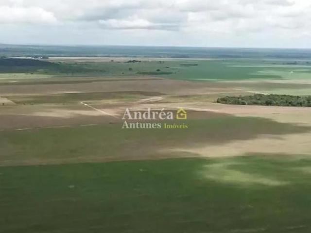 Fazenda para venda em Centro, Porto Alegre do Norte