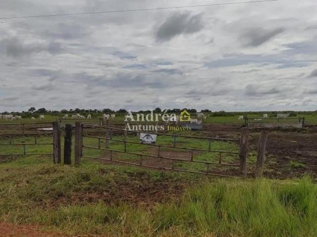Fazenda para venda em Centro, Porto Alegre do Norte