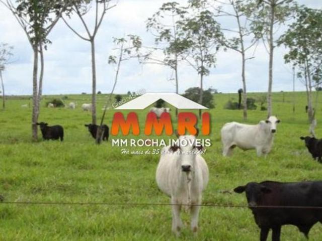 Fazenda para venda em Centro, Porto Alegre do Norte