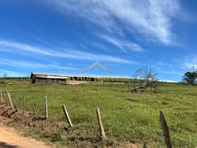 Fazenda para venda em Centro, Pouso Alegre