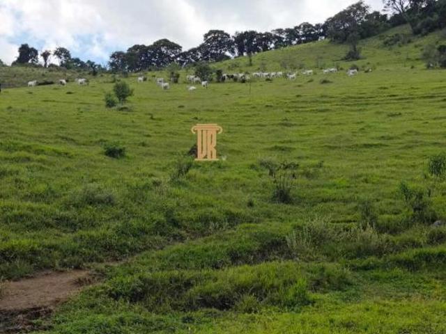 Fazenda para venda em Centro, Pouso Alto