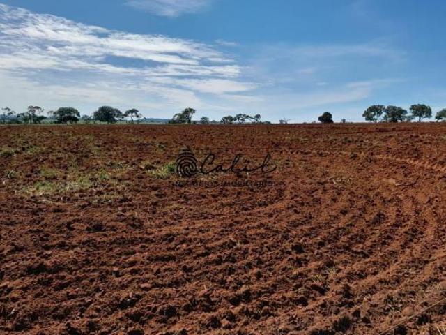 Fazenda para venda em Centro, Prata