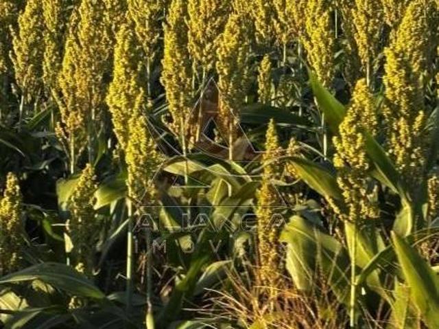 Fazenda para venda em Centro, Prata