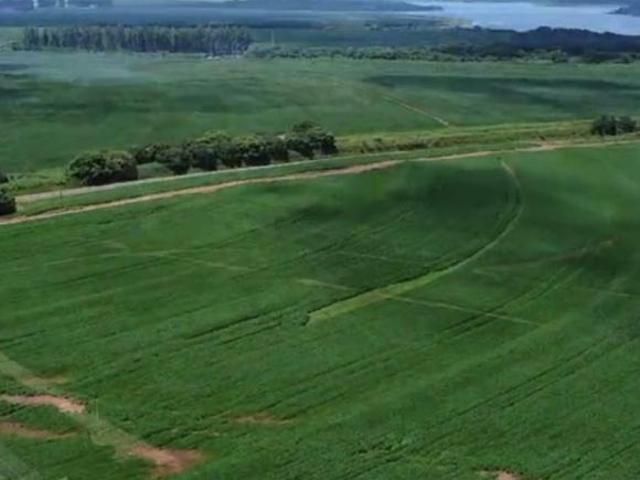 Fazenda para venda em Centro, Presidente Prudente
