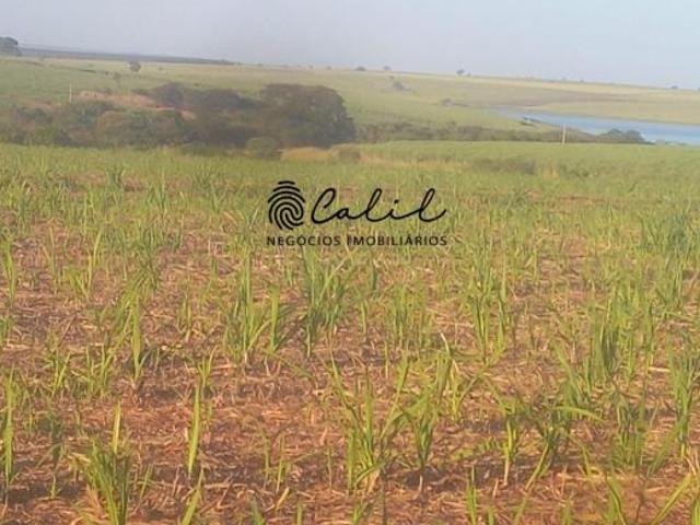 Fazenda para venda em Centro, Presidente Venceslau