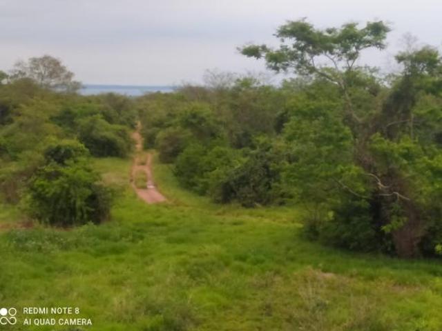 Fazenda para venda em Centro, Presidente Venceslau