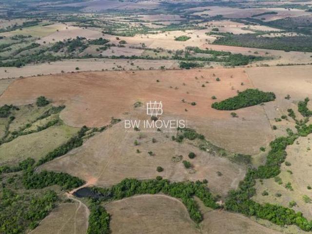 Fazenda para venda em Centro, Professor Jamil