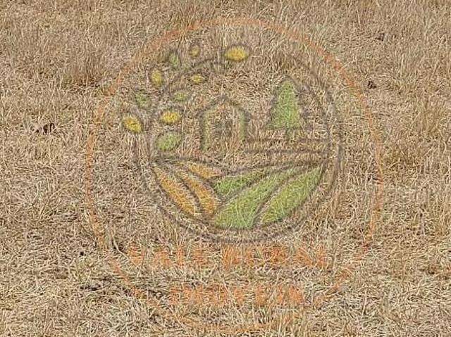 Fazenda para venda em Centro, Riachinho