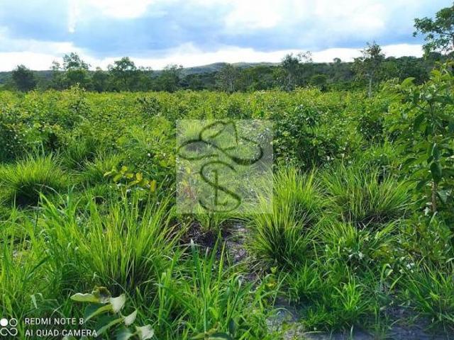 Fazenda para venda em Centro, Riacho dos Machados