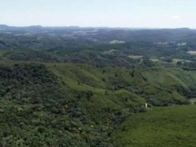 Fazenda para venda em Centro, Ribeirão Branco