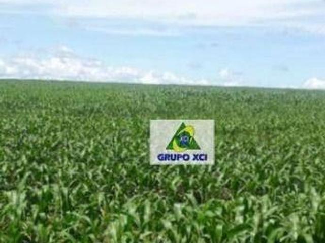 Fazenda para venda em Centro, Ribeirão Cascalheira