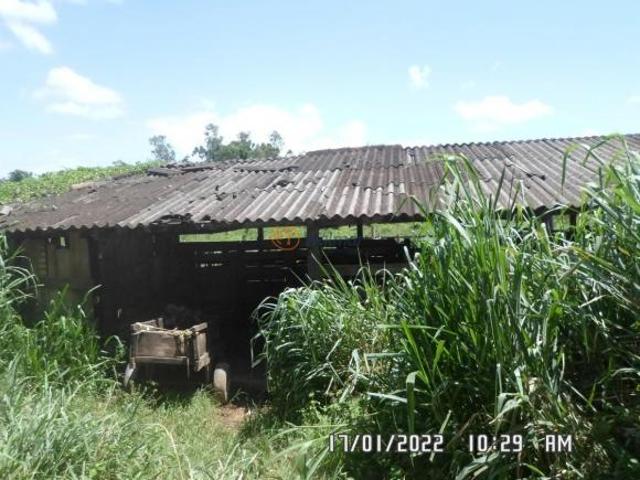Fazenda para venda em Centro, Rio Espera