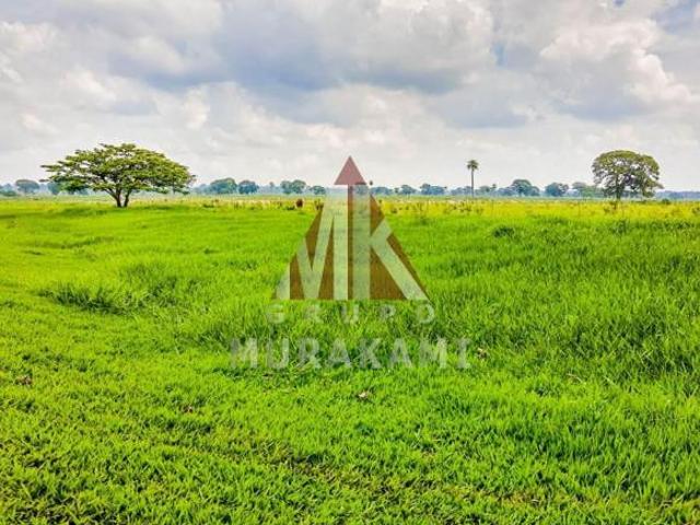 Fazenda para venda em Centro, Rochedo