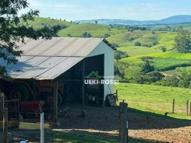 Fazenda para venda em Centro, Rosário do Ivaí