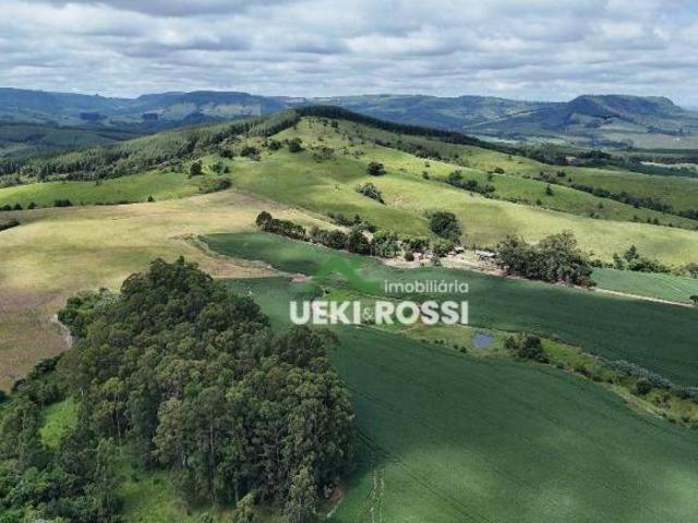 Fazenda para venda em Centro, Rosário do Ivaí