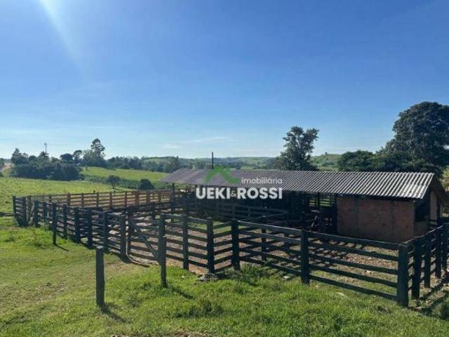 Fazenda para venda em Centro, Rosário do Ivaí
