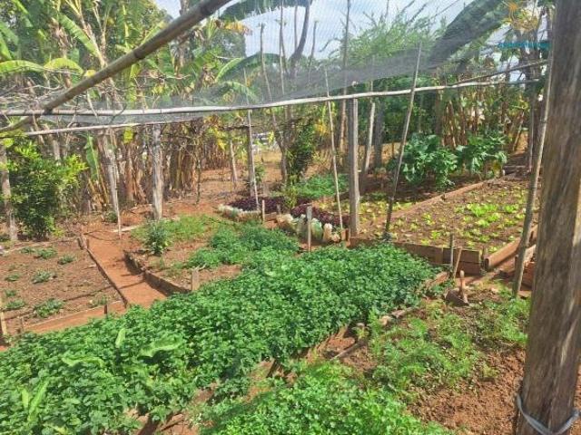 Fazenda para venda em Centro, São Tiago