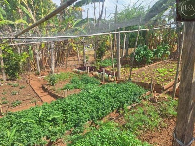 Fazenda para venda em Centro, São Tiago