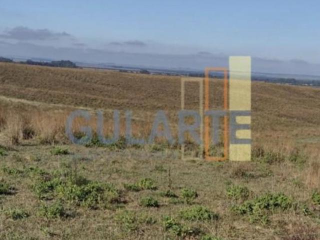 Fazenda para venda em Centro, São Vicente do Sul