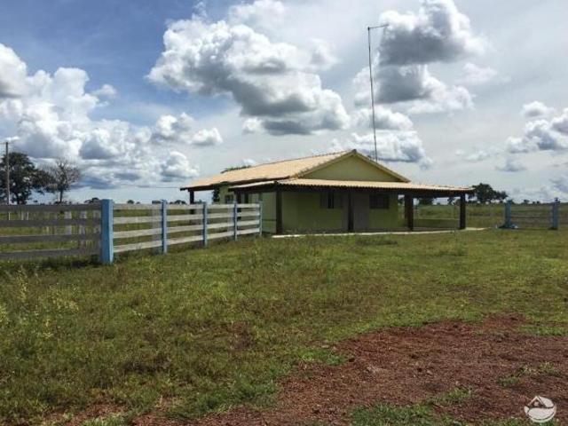 Fazenda para venda em Centro, São Félix do Araguaia