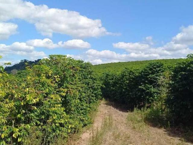Fazenda para venda em Centro, São Francisco de Paula