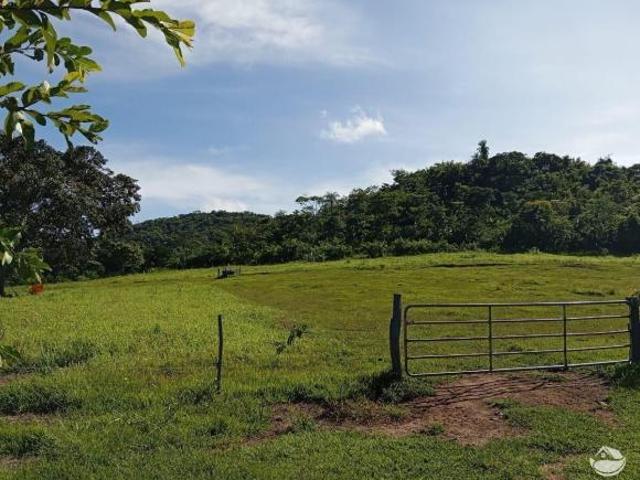 Fazenda para venda em Centro, São Gabriel do Oeste