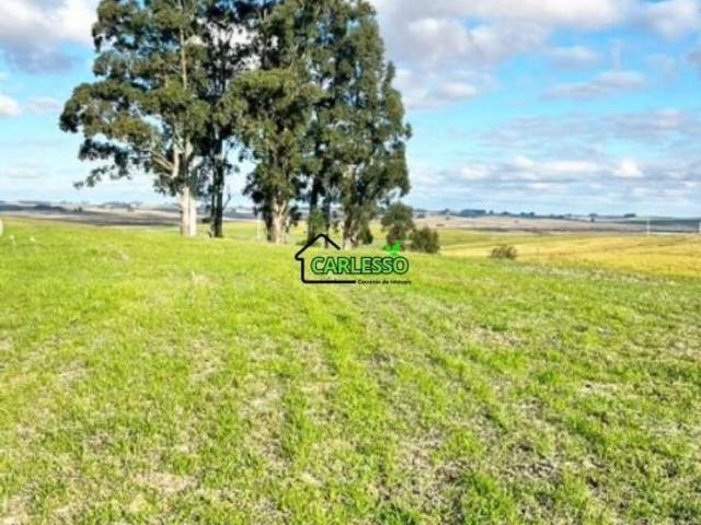 Fazenda para venda em Centro, São Gabriel