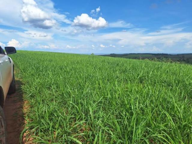 Fazenda para venda em Centro, São Gonçalo do Abaeté