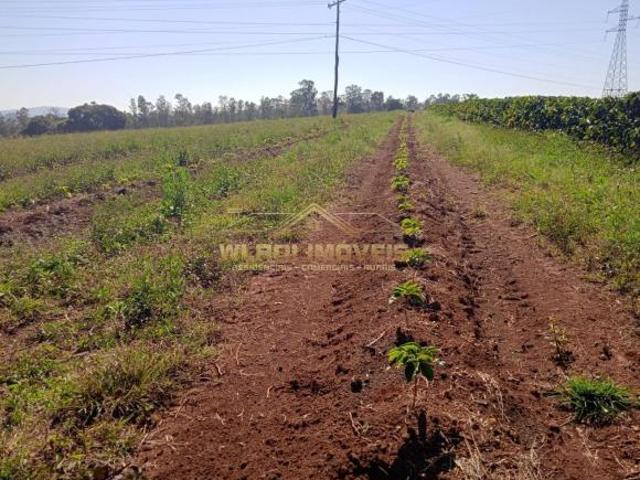 Fazenda para venda em Centro, São Gonçalo do Sapucaí
