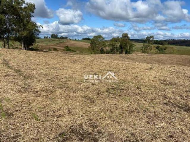 Fazenda para venda em Centro, São Jerônimo da Serra