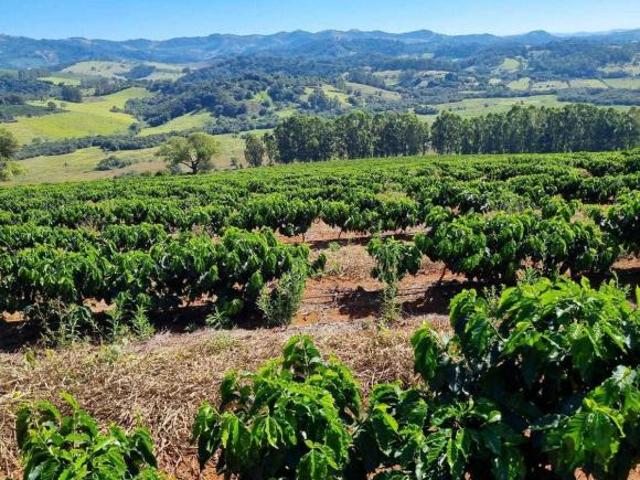 Fazenda para venda em Centro, São João da Mata