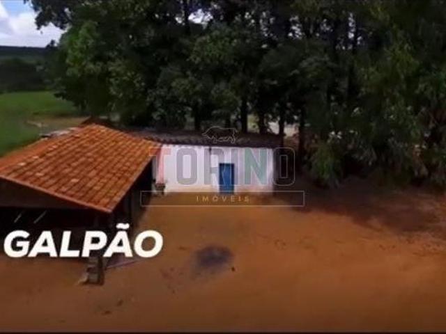 Fazenda para venda em Centro, São João da Ponte