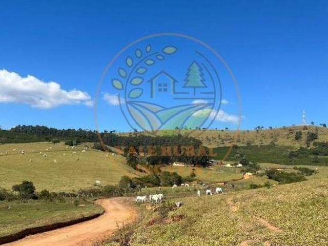 Fazenda para venda em Centro, São Lourenço