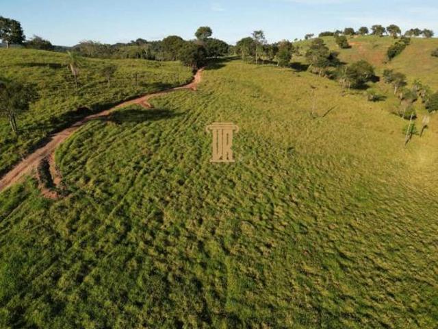 Fazenda para venda em Centro, São Luís de Montes Belos