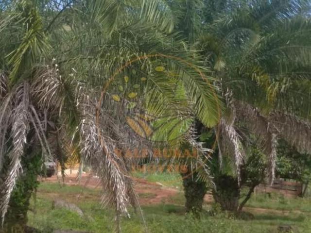 Fazenda para venda em Centro, São Patrício