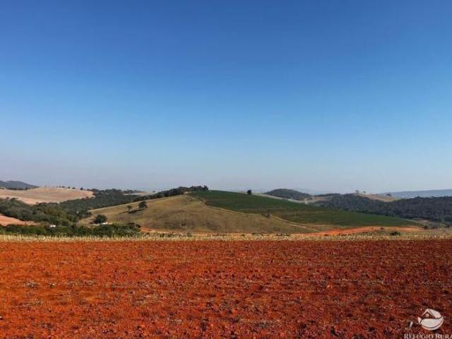 Fazenda para venda em Centro, São Sebastião da Bela Vista