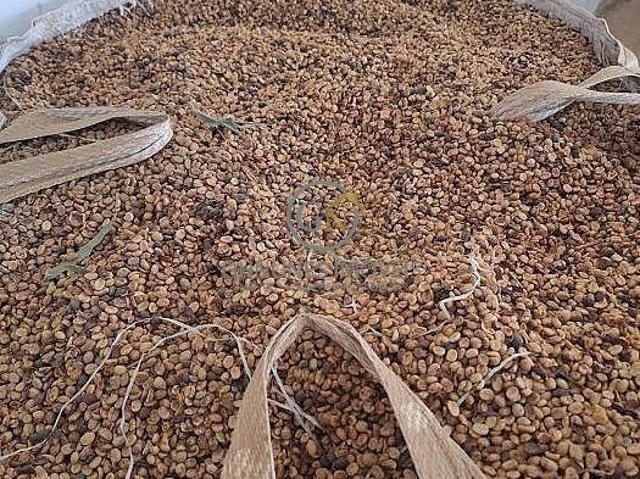 Fazenda para venda em Centro, São Sebastião da Grama