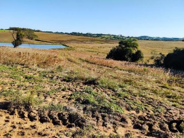 Fazenda para venda em Centro, São Sepé