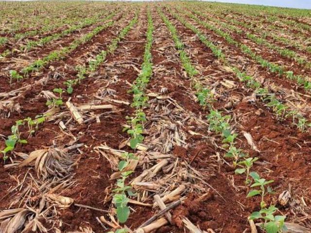 Fazenda para venda em Centro, Salto do Lontra