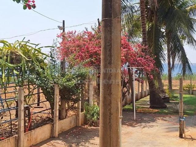 Fazenda para venda em Centro, Santa Albertina