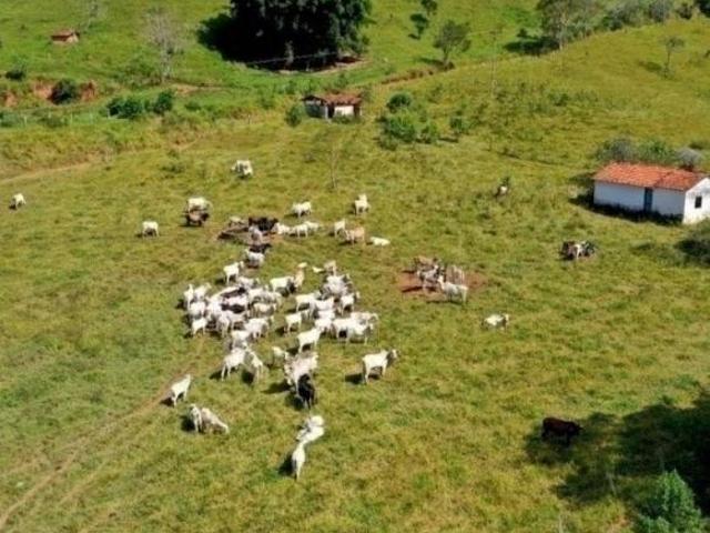Fazenda para venda em Centro, Santa Branca