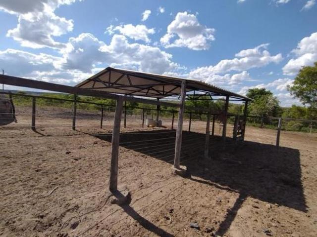 Fazenda para venda em Centro, Santa Fé de Minas