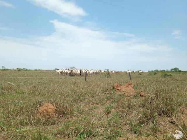 Fazenda para venda em Centro, Santa Vitória