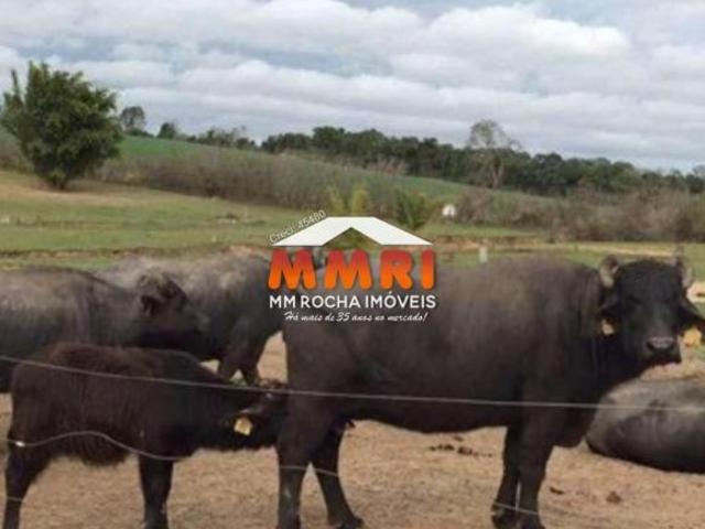 Fazenda para venda em Centro, Santana do Itararé